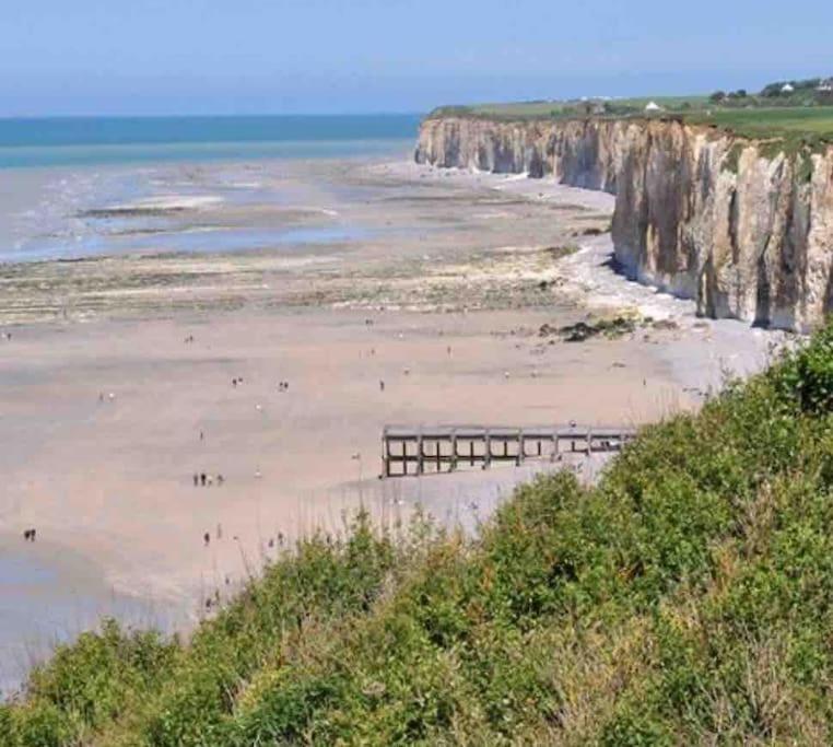 Superbe Appartement Entre Mer Et Ville Dieppe Dış mekan fotoğraf